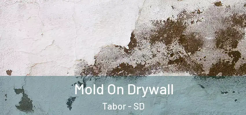 Mold On Drywall Tabor - SD