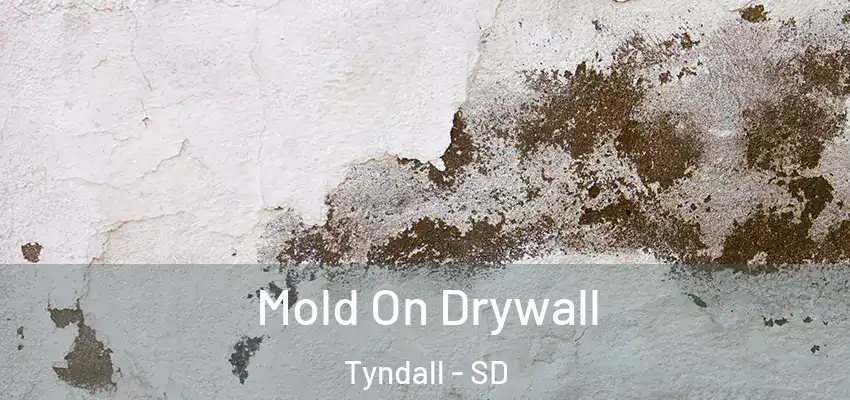  Mold On Drywall Tyndall - SD