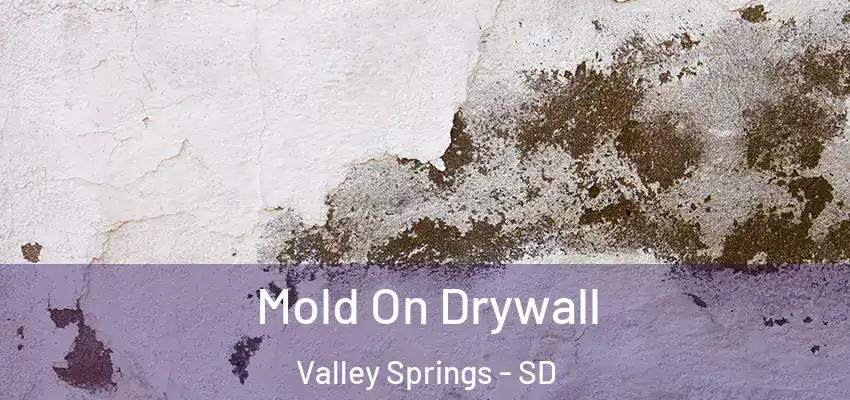  Mold On Drywall Valley Springs - SD