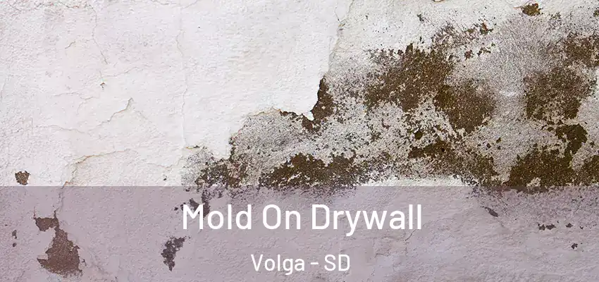  Mold On Drywall Volga - SD