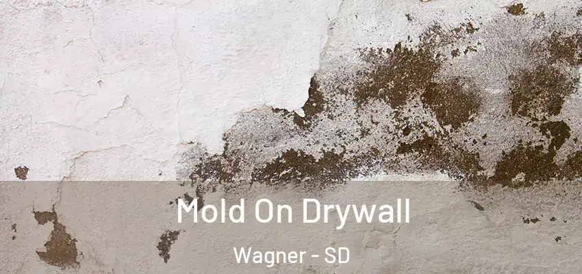  Mold On Drywall Wagner - SD