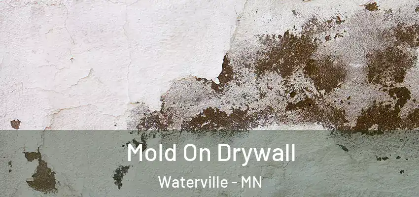  Mold On Drywall Waterville - MN