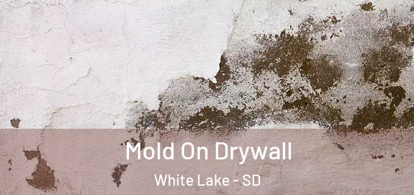  Mold On Drywall White Lake - SD