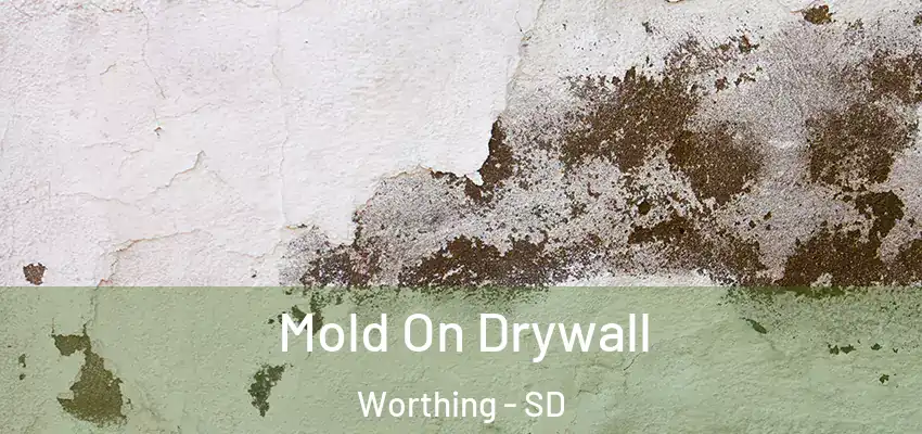  Mold On Drywall Worthing - SD