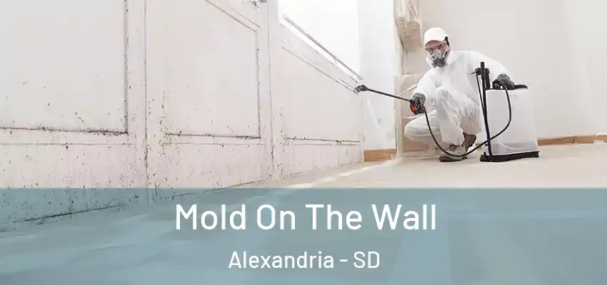  Mold On The Wall Alexandria - SD