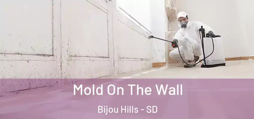  Mold On The Wall Bijou Hills - SD