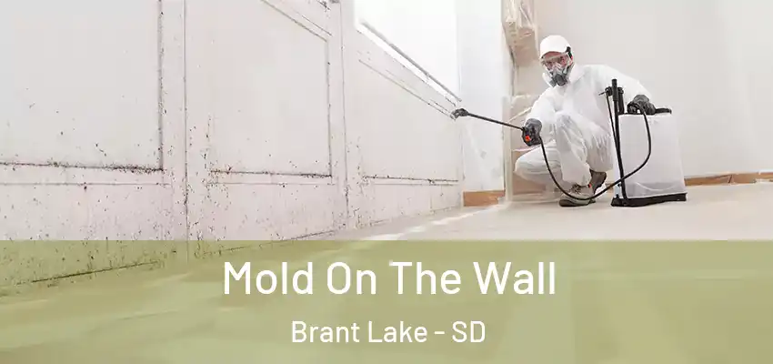  Mold On The Wall Brant Lake - SD