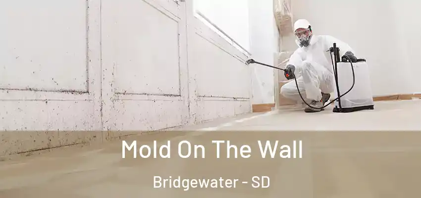  Mold On The Wall Bridgewater - SD