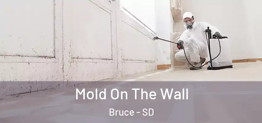  Mold On The Wall Bruce - SD