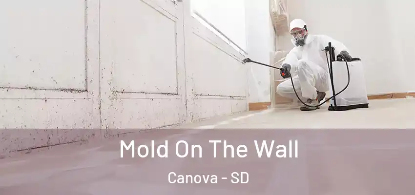  Mold On The Wall Canova - SD