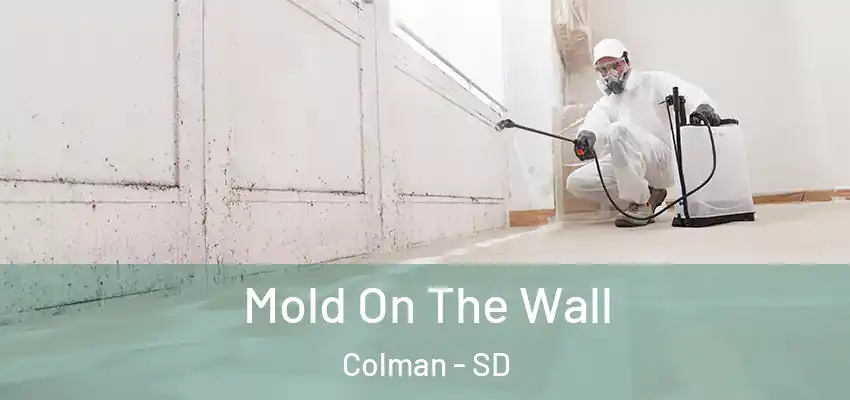  Mold On The Wall Colman - SD