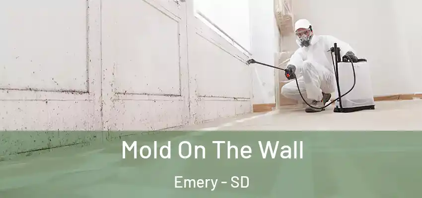  Mold On The Wall Emery - SD
