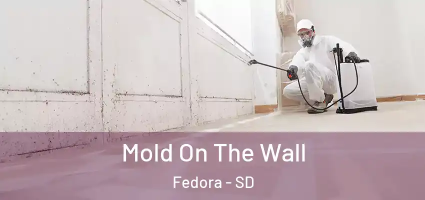  Mold On The Wall Fedora - SD