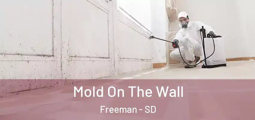 Mold On The Wall Freeman - SD