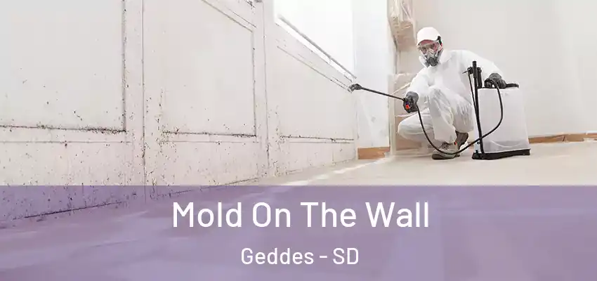  Mold On The Wall Geddes - SD