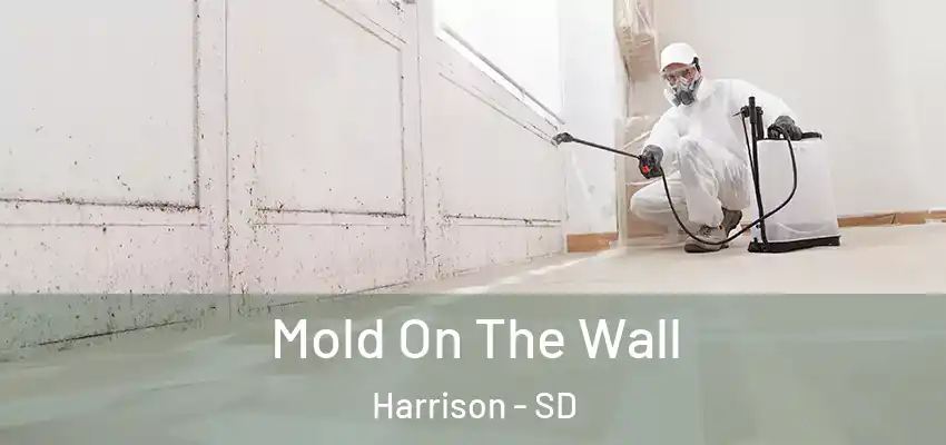 Mold On The Wall Harrison - SD