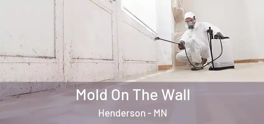  Mold On The Wall Henderson - MN