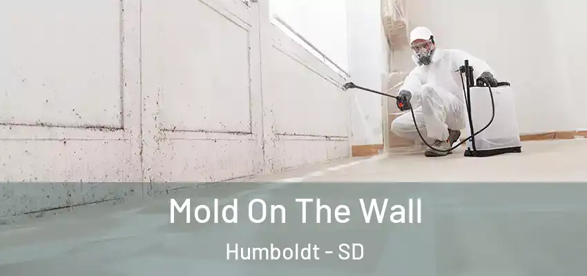  Mold On The Wall Humboldt - SD