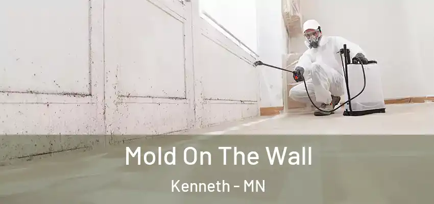  Mold On The Wall Kenneth - MN