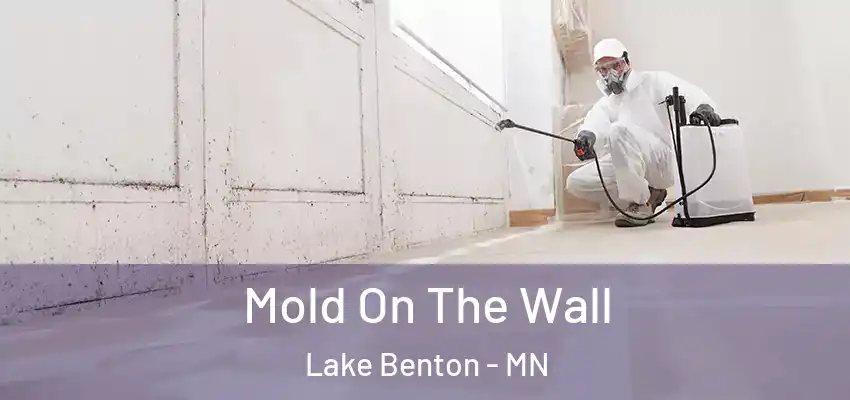  Mold On The Wall Lake Benton - MN
