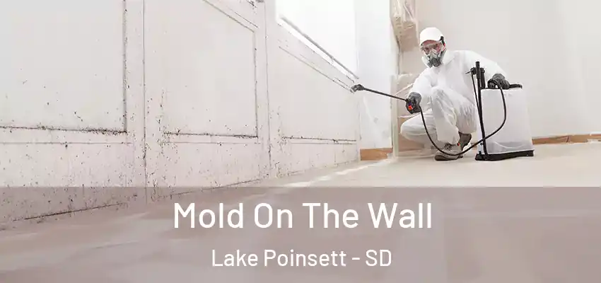 Mold On The Wall Lake Poinsett - SD