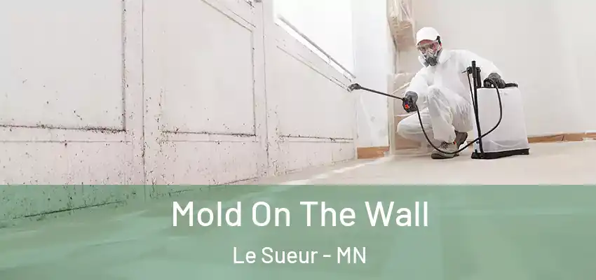  Mold On The Wall Le Sueur - MN