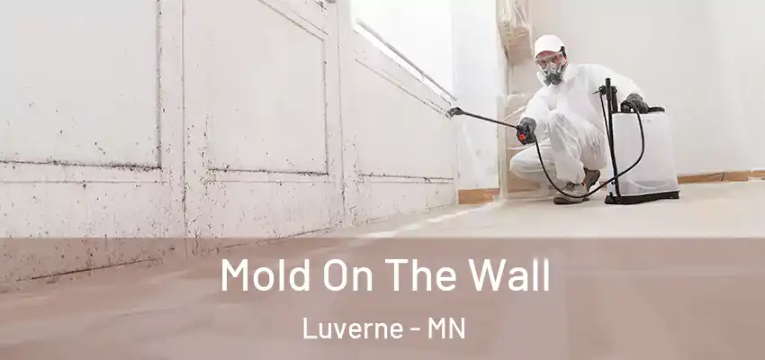  Mold On The Wall Luverne - MN