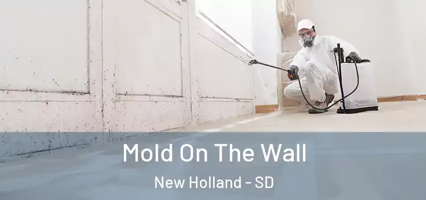  Mold On The Wall New Holland - SD