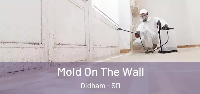  Mold On The Wall Oldham - SD