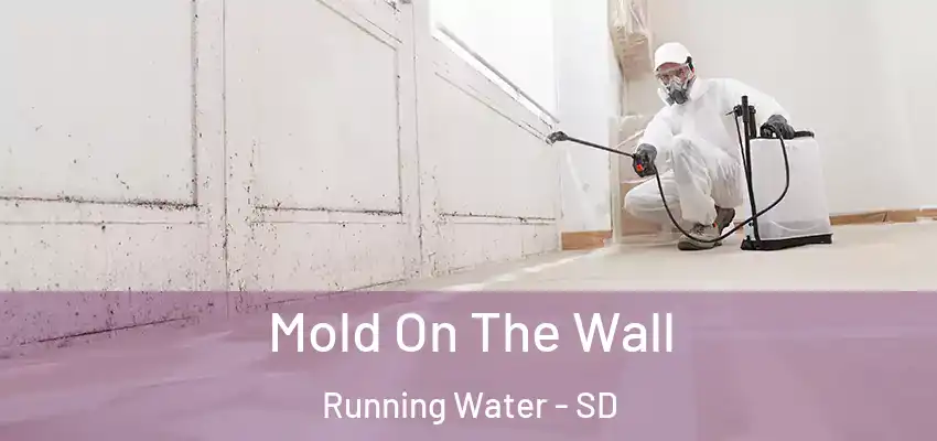  Mold On The Wall Running Water - SD
