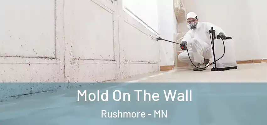  Mold On The Wall Rushmore - MN