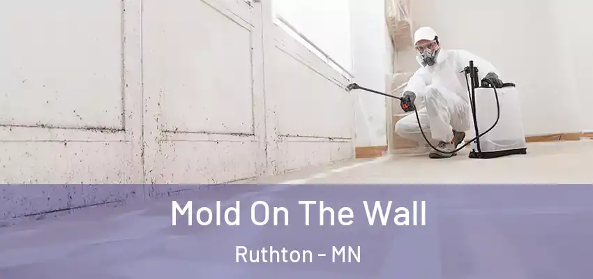  Mold On The Wall Ruthton - MN