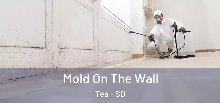Mold On The Wall Tea - SD