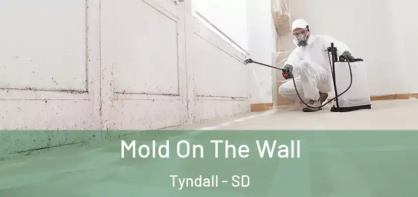  Mold On The Wall Tyndall - SD