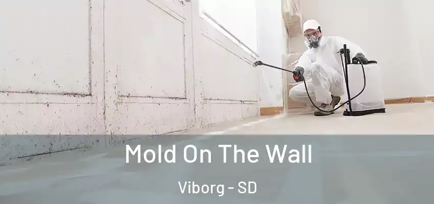 Mold On The Wall Viborg - SD