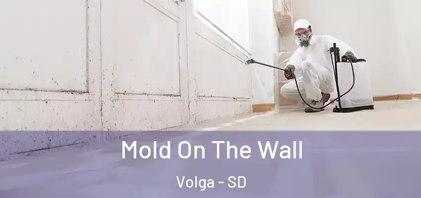  Mold On The Wall Volga - SD