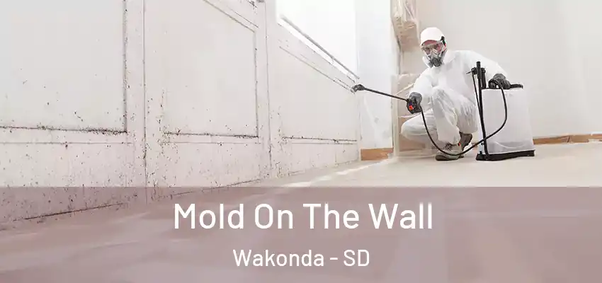  Mold On The Wall Wakonda - SD