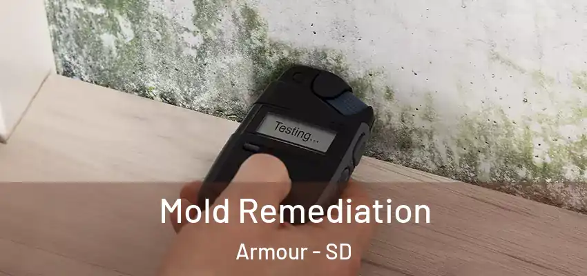  Mold Remediation Armour - SD