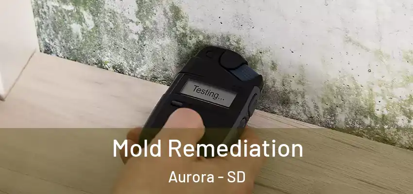  Mold Remediation Aurora - SD