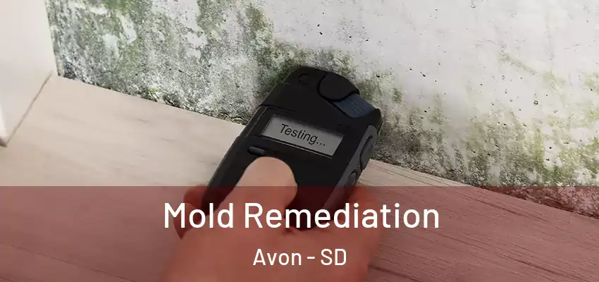  Mold Remediation Avon - SD