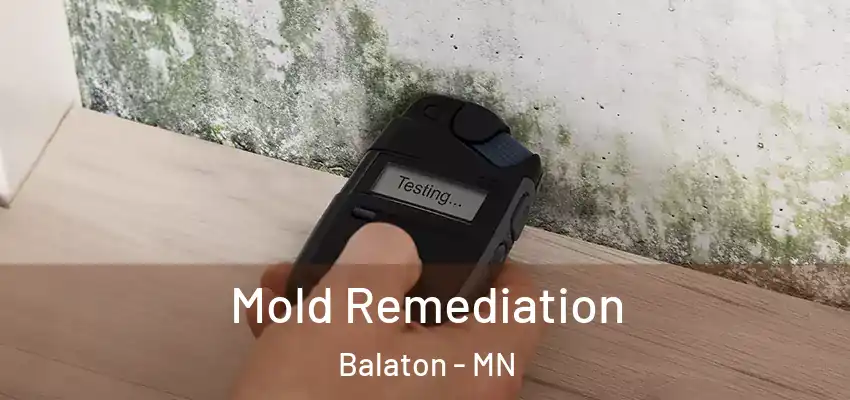  Mold Remediation Balaton - MN