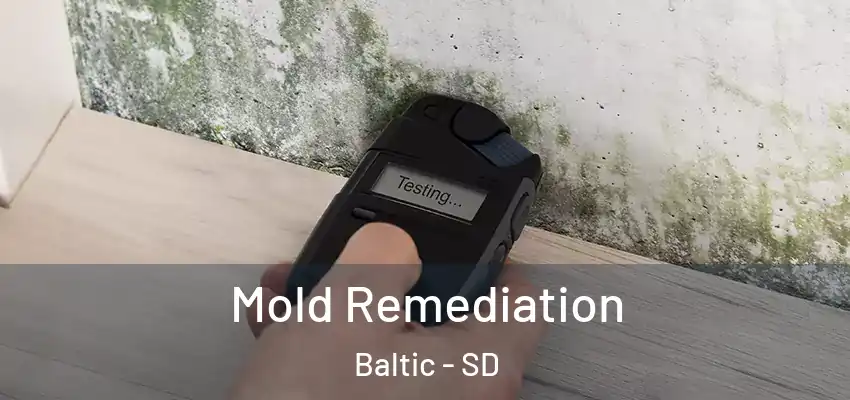  Mold Remediation Baltic - SD