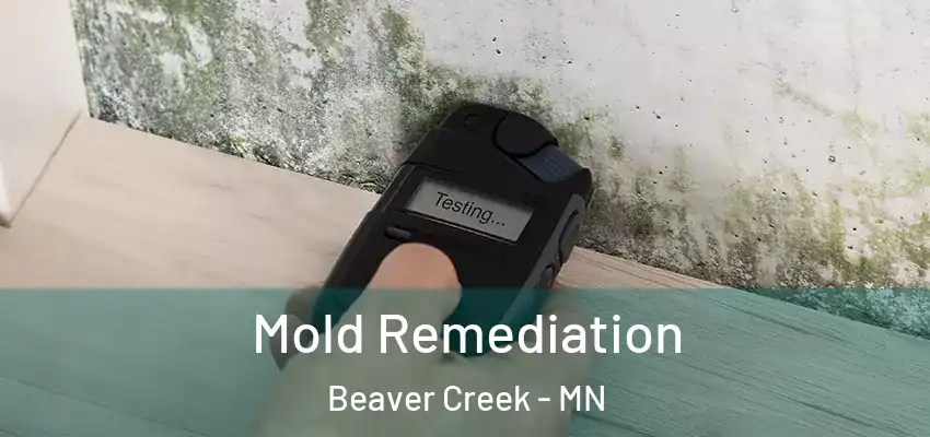  Mold Remediation Beaver Creek - MN