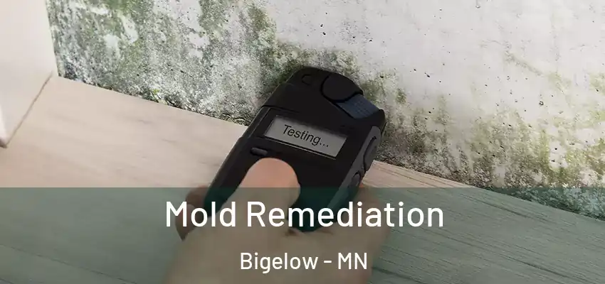  Mold Remediation Bigelow - MN