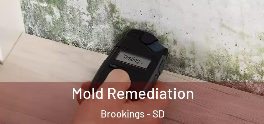  Mold Remediation Brookings - SD