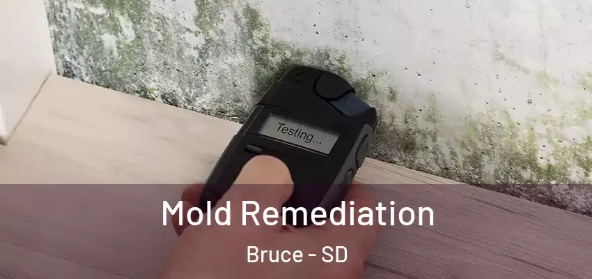  Mold Remediation Bruce - SD