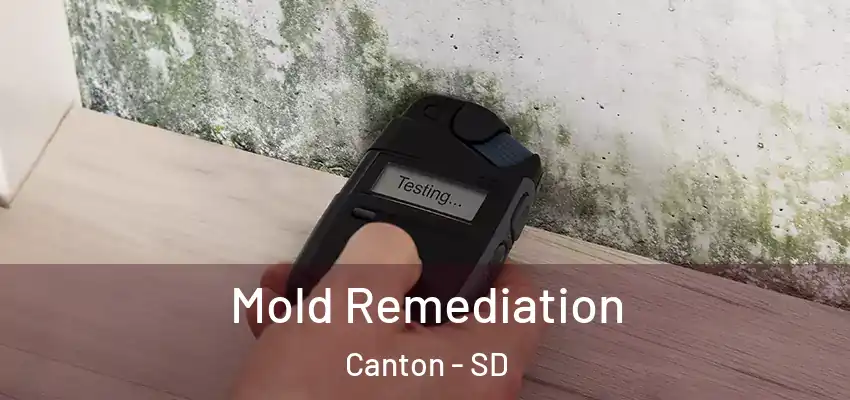  Mold Remediation Canton - SD