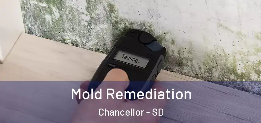  Mold Remediation Chancellor - SD