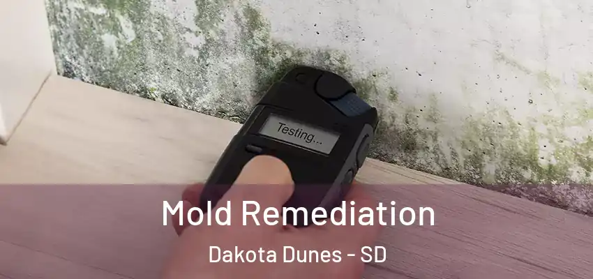  Mold Remediation Dakota Dunes - SD