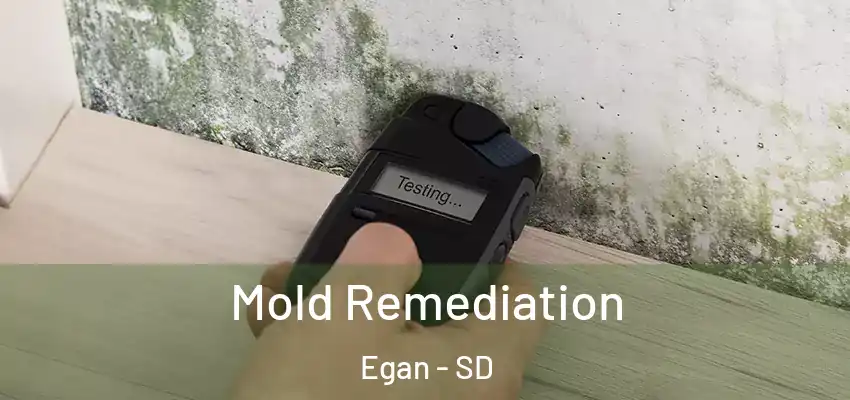 Mold Remediation Egan - SD